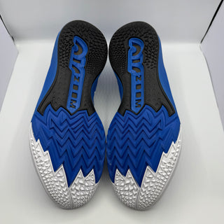 Nike Air Zoom GT Cut Player Edition "Duke Blue" USED