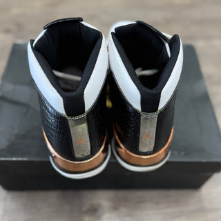 Jordan 17 Copper Size 11 USED