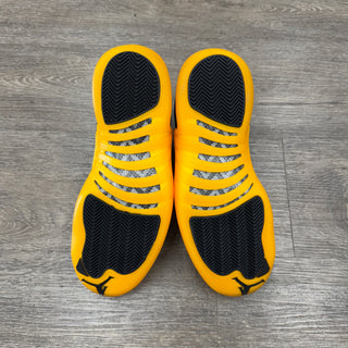 J12 University Gold USED