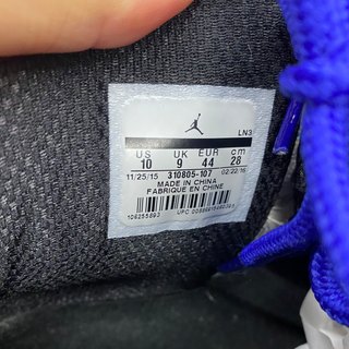 Jordan 10 Retro 'Charlotte' 2016 Size 10 USED