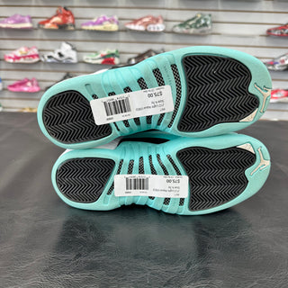Jordan 12 Light Aqua
