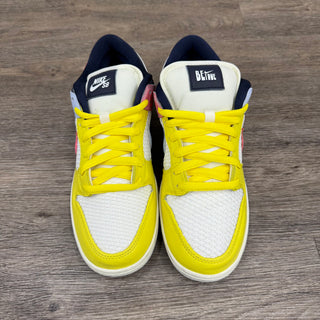Nike Dunk Low SB 'Be True' Size 9 USED