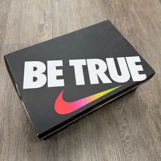 Nike Dunk Low SB 'Be True' Size 9 USED