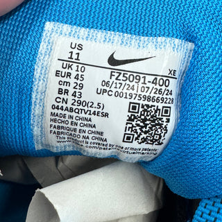 Nike Air Zoom Pegasus 41 Carolina Panthers NEW