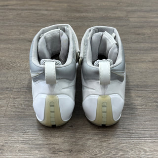 Lebron IV "White Chrome" Sz 12
