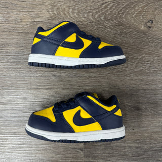 Nike Dunk Low Michigan Used