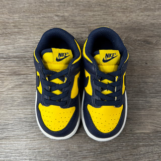 Nike Dunk Low Michigan Used